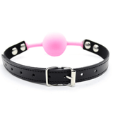 Pink Ball Gag