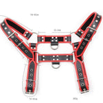 Shoulder Harness Man
