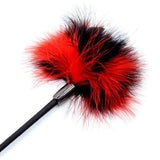 BDSM Feather Whip
