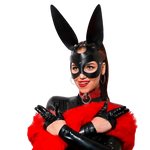 Sexy Bunny Mask