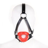 Mouth Harness Gag