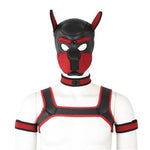 Mask Fetish Harness