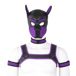 Mask Fetish Harness