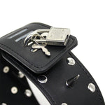 Studded Leash Collar