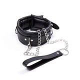 Padded Collar Leash