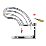 Bird Chastity Cage
